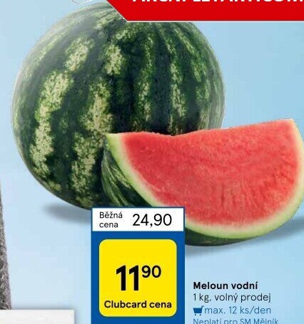 Meloun vodní