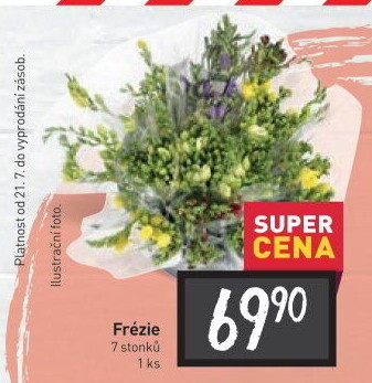 Frézie