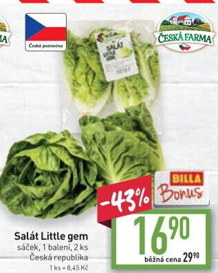 Salát little gem Česká farma