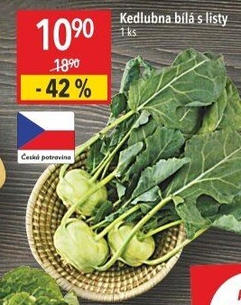 Kedlubna bílá