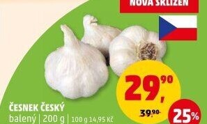 Česnek český