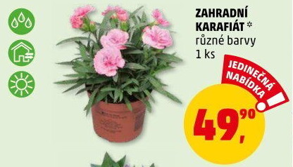 Karafiát