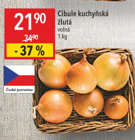 Cibule kuchyňská žlutá