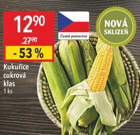 Kukuřice klas