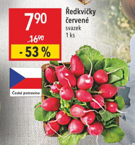 Ředkvičky svazek