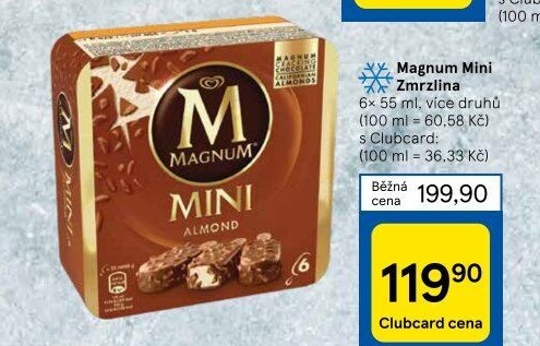 Nanuk Magnum Mini Algida