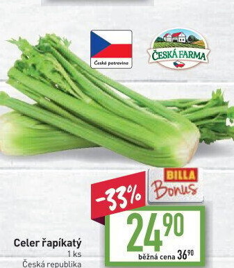 Celer řapíkatý Česká farma