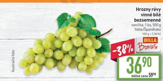 Hrozny bílé bezsemenné