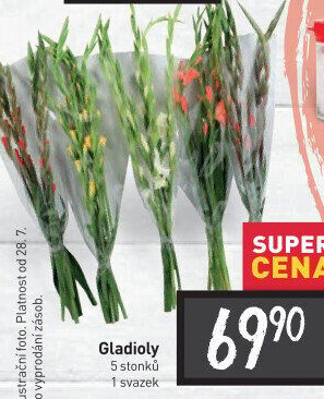 Mečíky - gladioly řezané