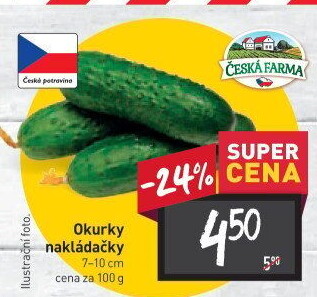 Okurky nakládačky Česká farma