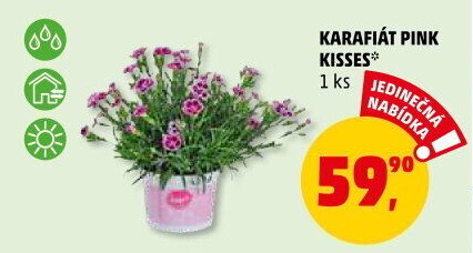 Karafiát