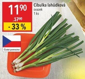 Jarní cibule svazek