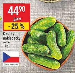 Okurky nakládačky