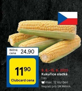 Kukuřice klas