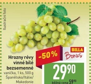 Hrozny bílé bezsemenné