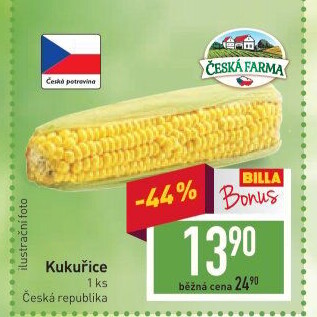 Kukuřice klas Česká farma