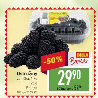 Ostružiny