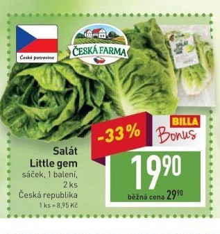 Salát little gem Česká farma