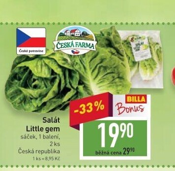 Salát little gem Česká farma