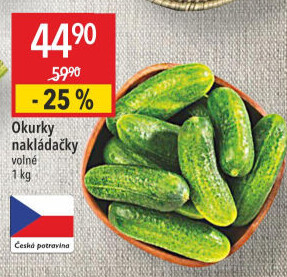 Okurky nakládačky