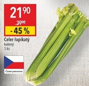Celer řapíkatý