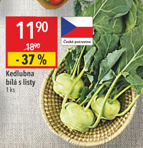 Kedlubna bílá
