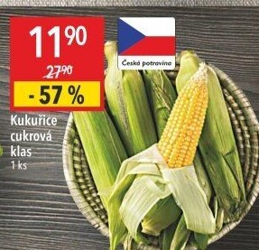 Kukuřice klas