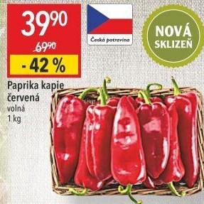 Paprika červená kapie