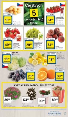 akční leták Tesco 16.8.2023-22.8.2023