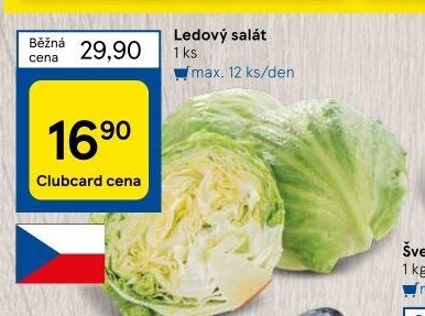 Salát ledový