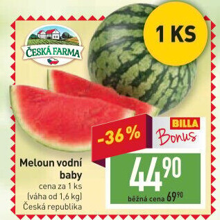 Meloun vodní baby Česká farma