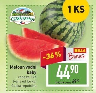 Meloun vodní baby Česká farma