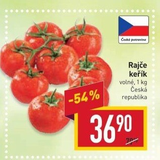 Rajčata keříková