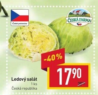 Salát ledový Česká farma