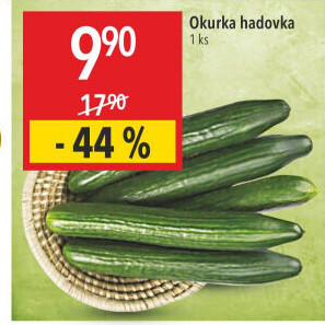 Okurka hadovka