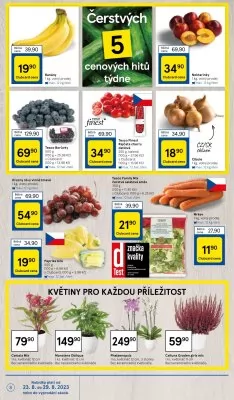 akční leták Tesco 23.8.2023-29.8.2023