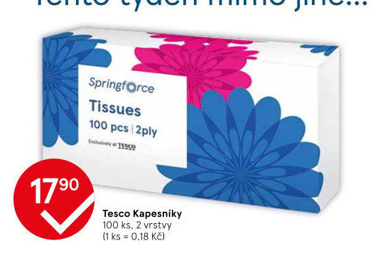 Papírové kapesníčky 2vrstvé Tesco - box