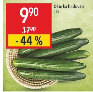 Okurka hadovka