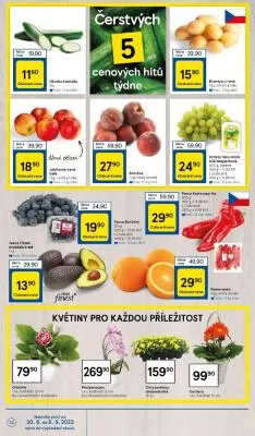 akční leták Tesco 30.8.2023-5.9.2023