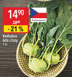 Kedlubna bílá