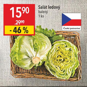 Salát ledový