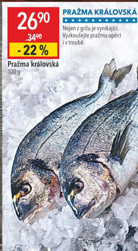 Pražma královská