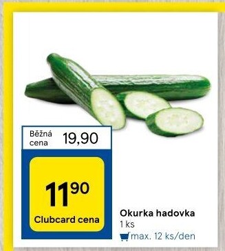 Okurka hadovka