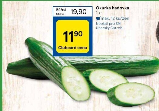 Okurka hadovka