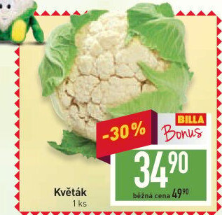 Květák
