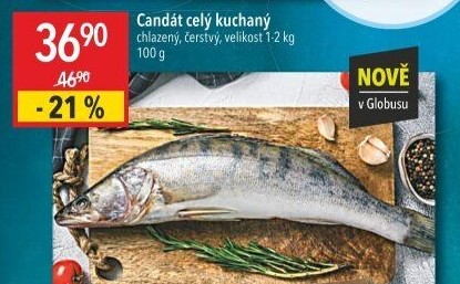 Candát obecný kuchaný