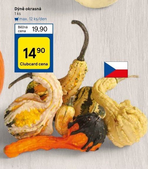 Okrasná dýně