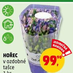 Hořec - Gentiana