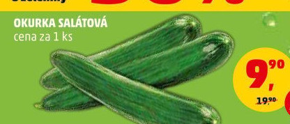 Okurka hadovka