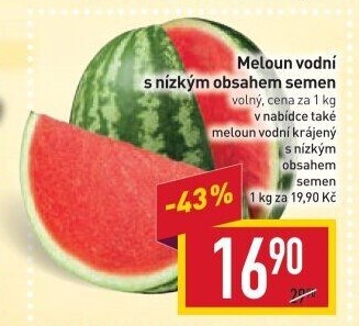 Meloun vodní